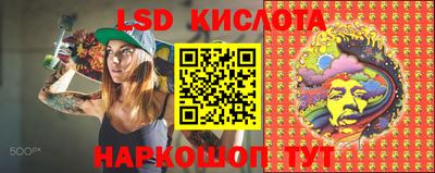 дмт Донской