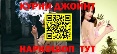 гидра Дубна