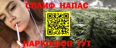 дмт Донской