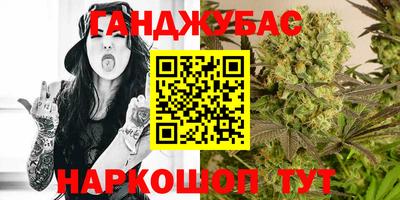дмт Донской
