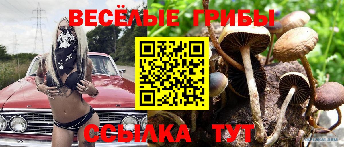 Альфа ПВП СК кристаллы  Гашиш  Вход с VPN  Майский  МЕФ  