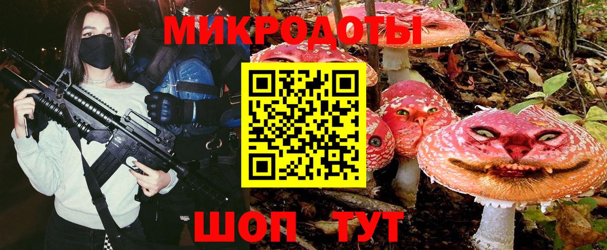 Псилоцибиновые грибы Psilocybine cubensis Майский